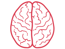 Neuroanatomie lernen - Videos fürs Medizinstudium